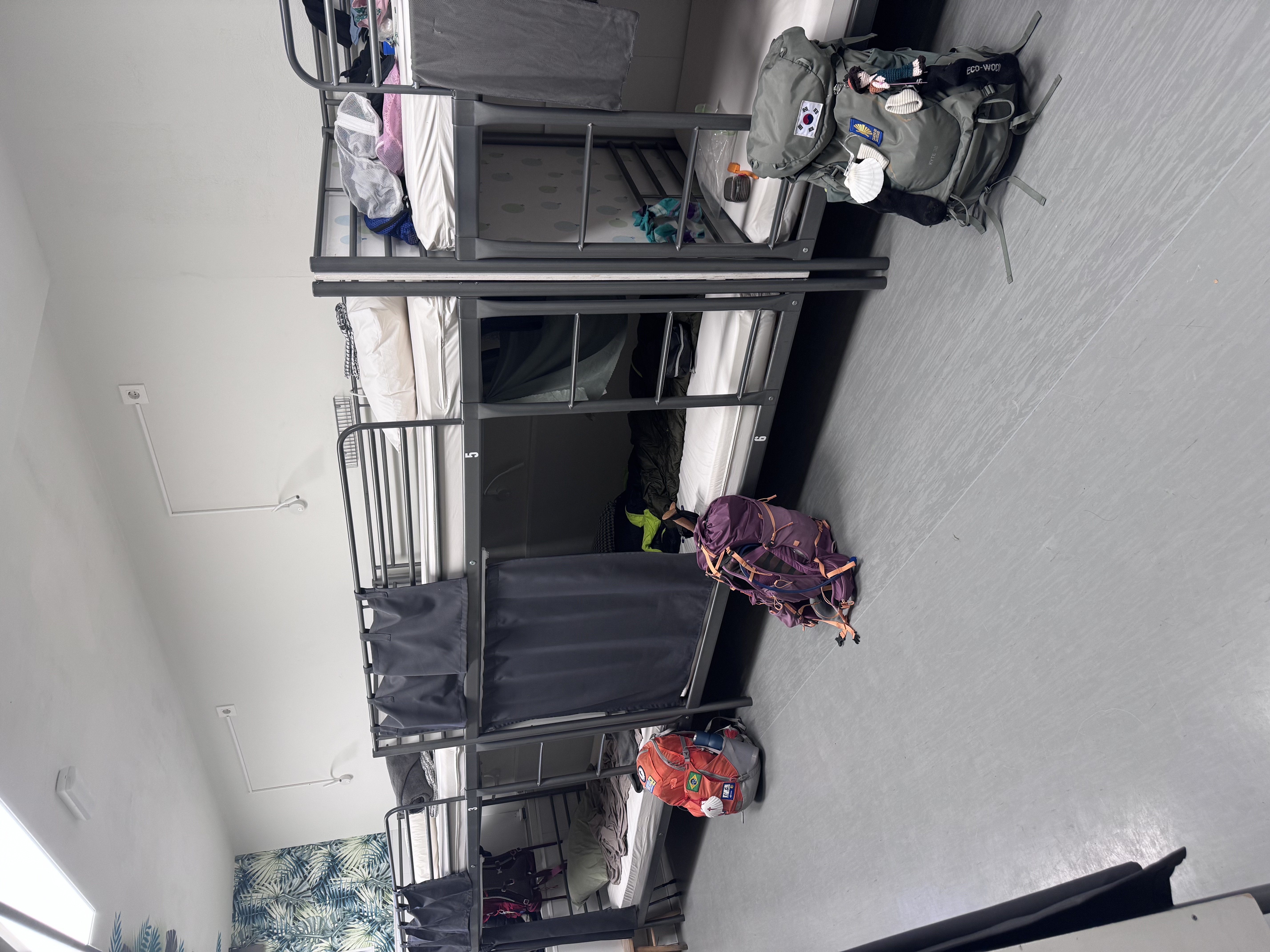 Dia 2 – Saint-Jean a Roncesvalles: A Travessia dos Pireneus