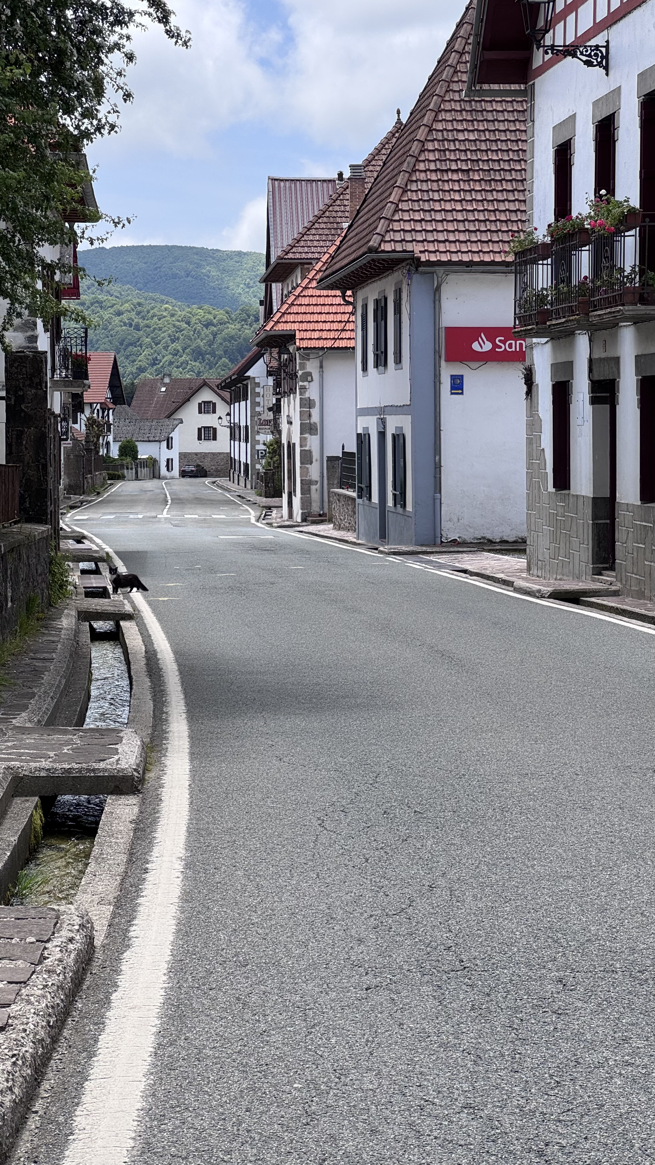 Dia 5 – Pamplona: Explorando a Capital de Navarra