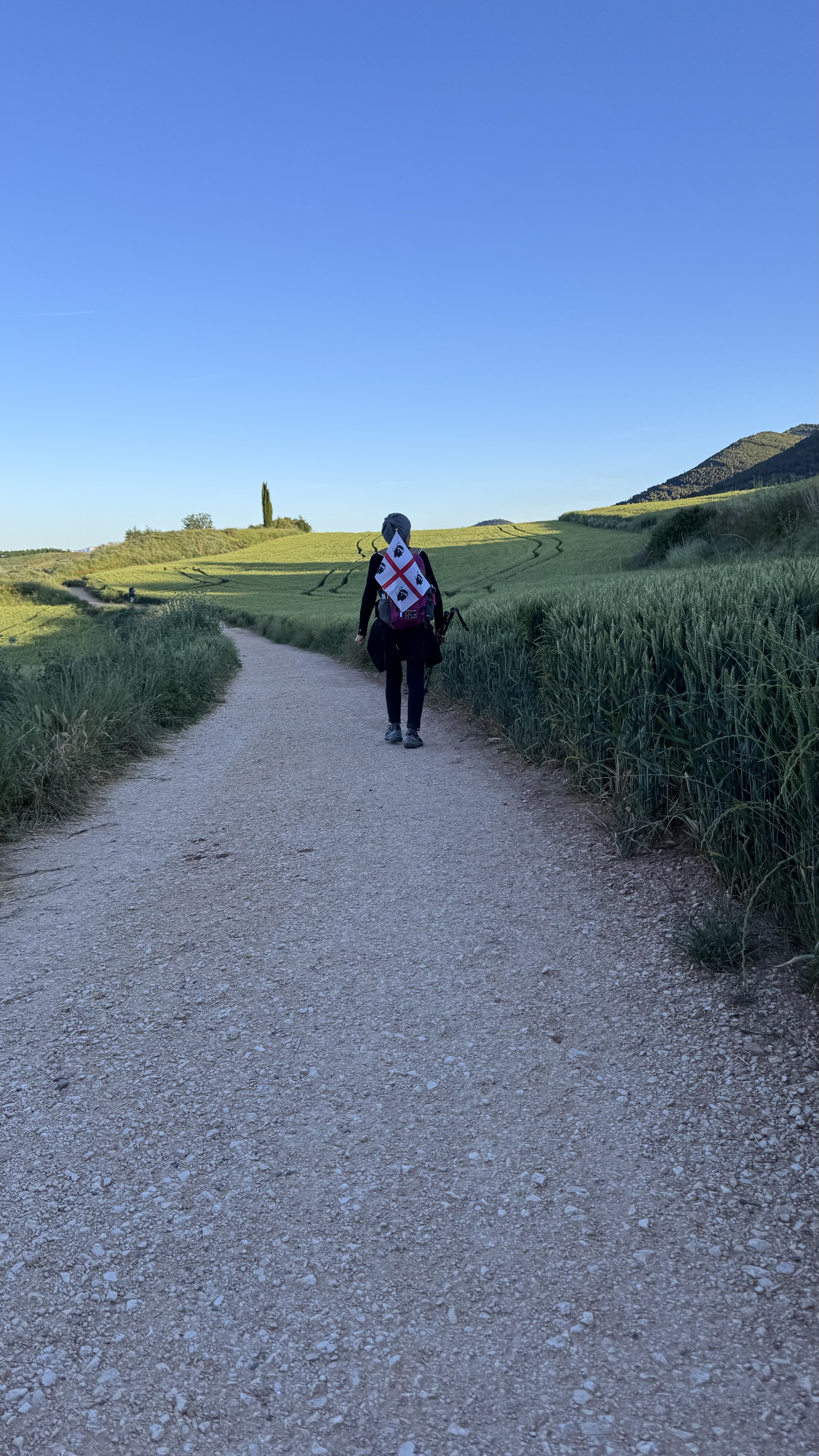 Dia 7 – Estella a Logroño: Pelos Campos de La Rioja