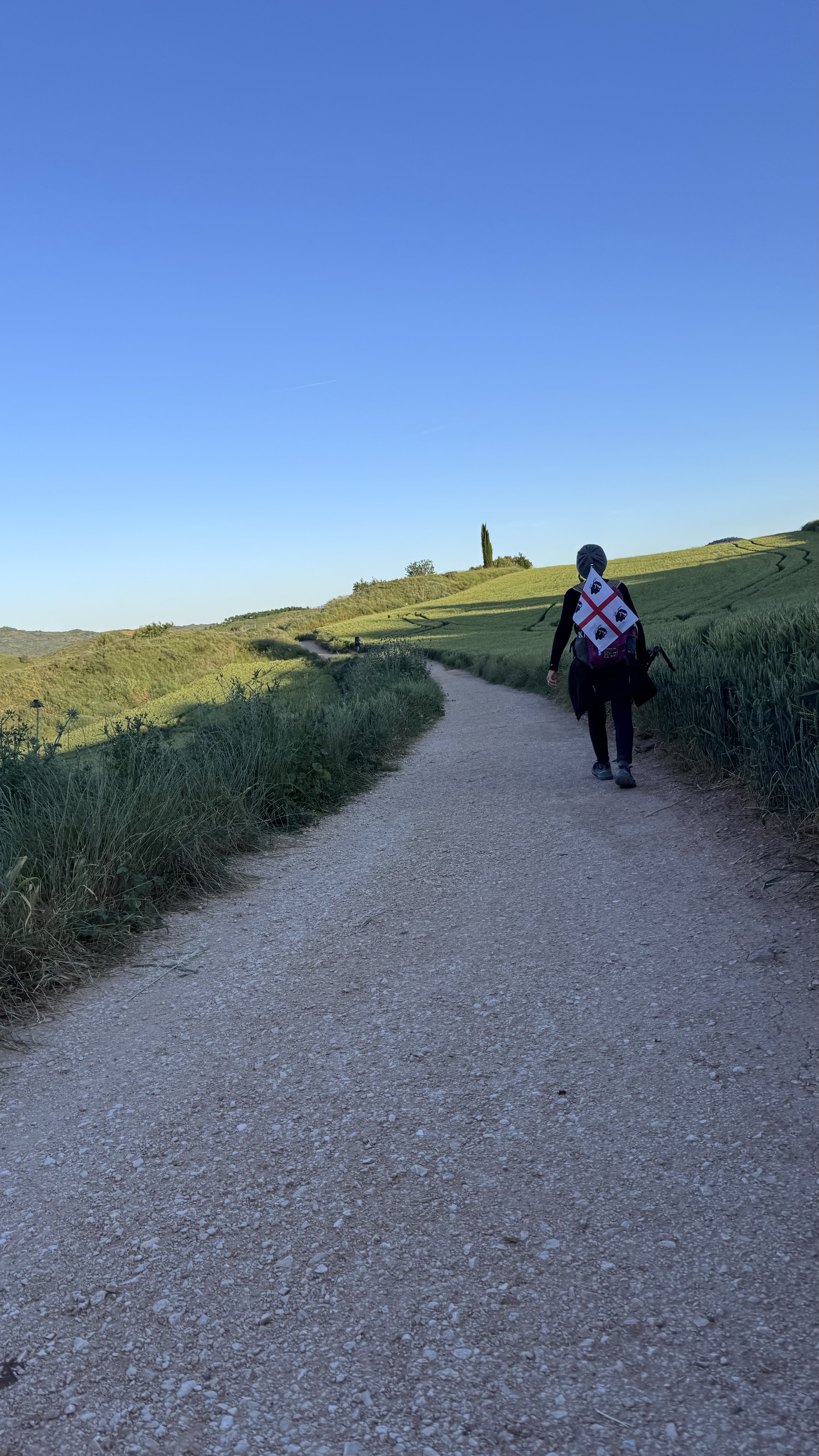 Caminho Francês — Dia 7
