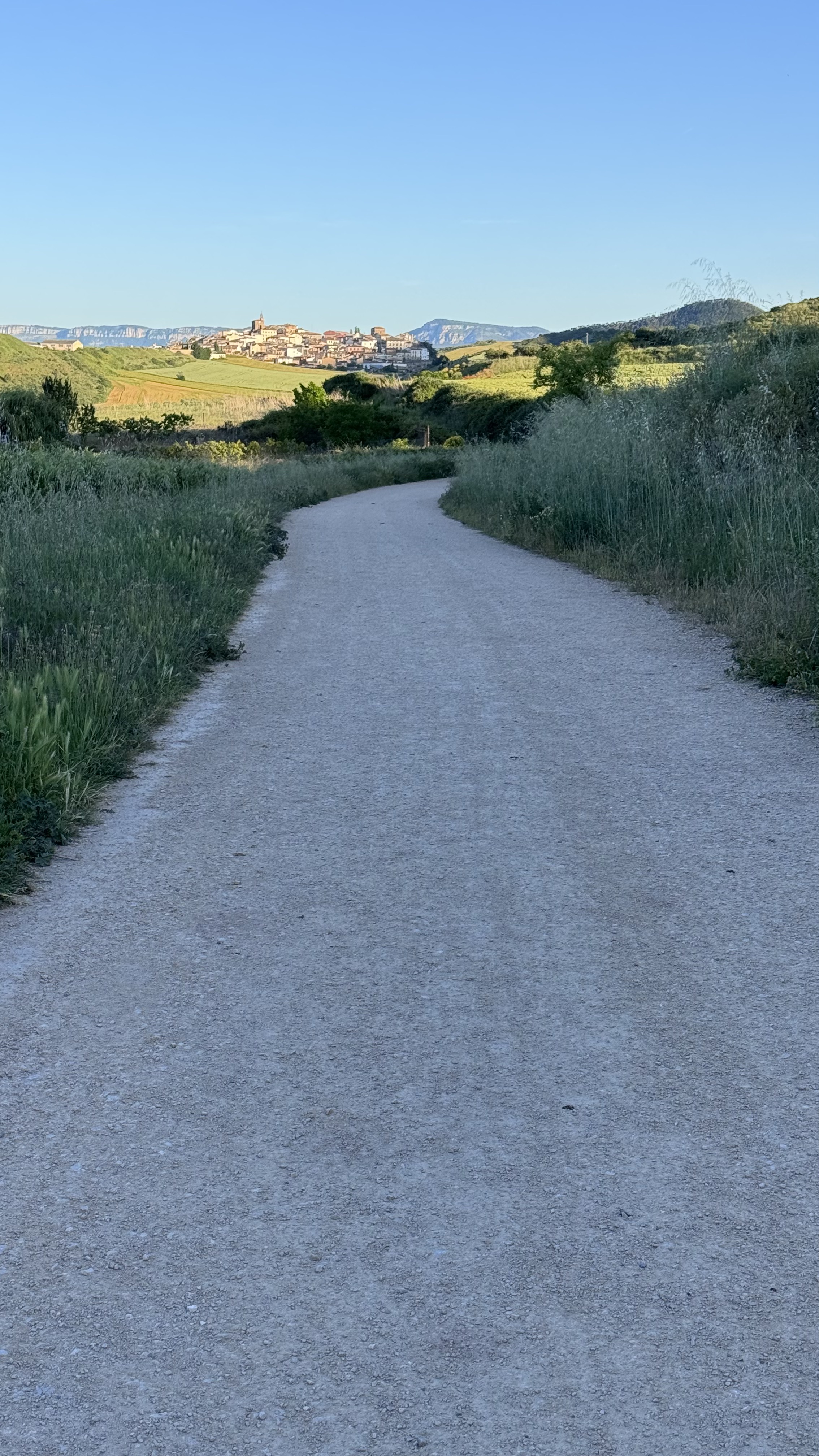 Caminho Francês — Dia 7
