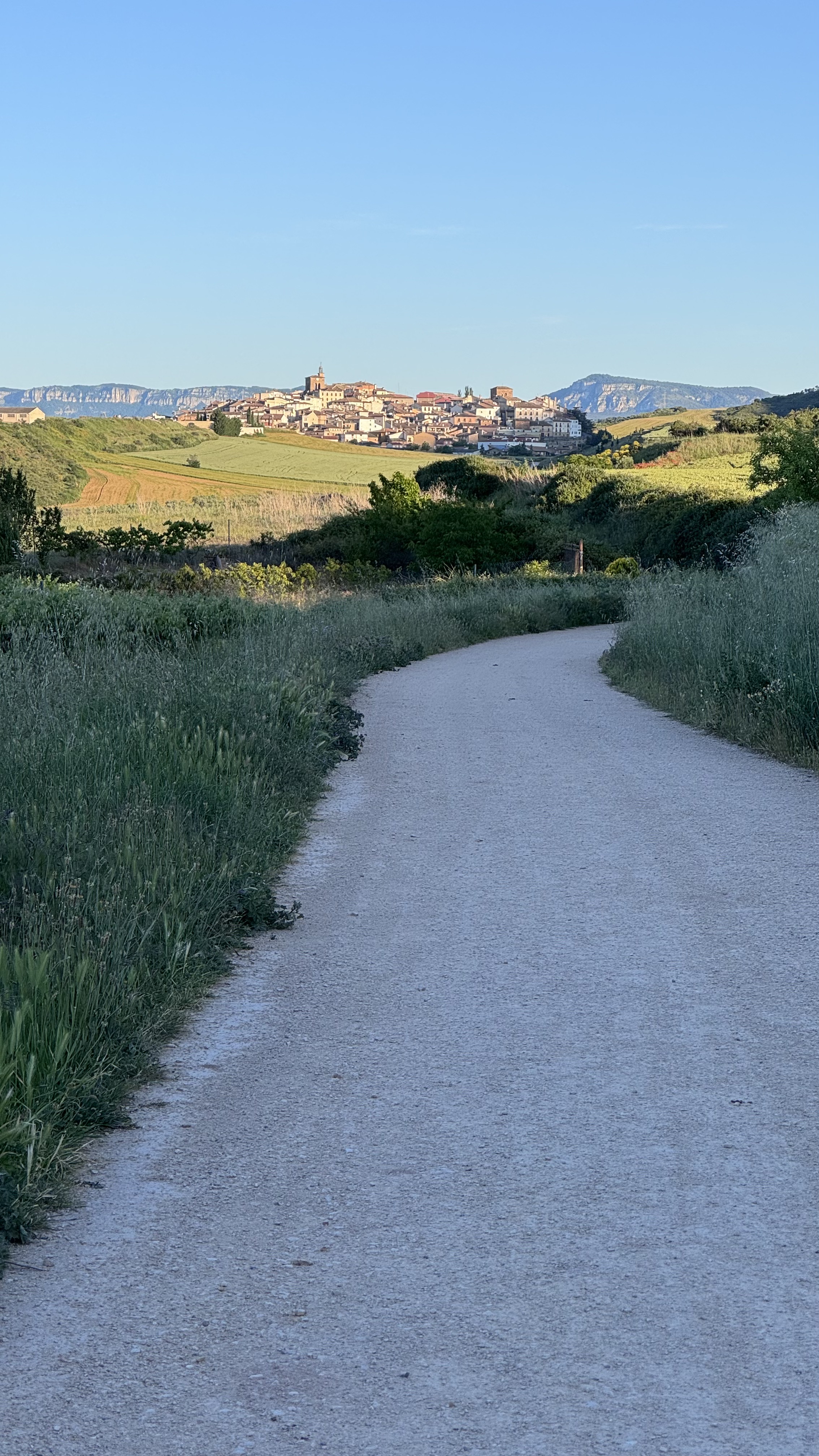 Caminho Francês — Dia 7