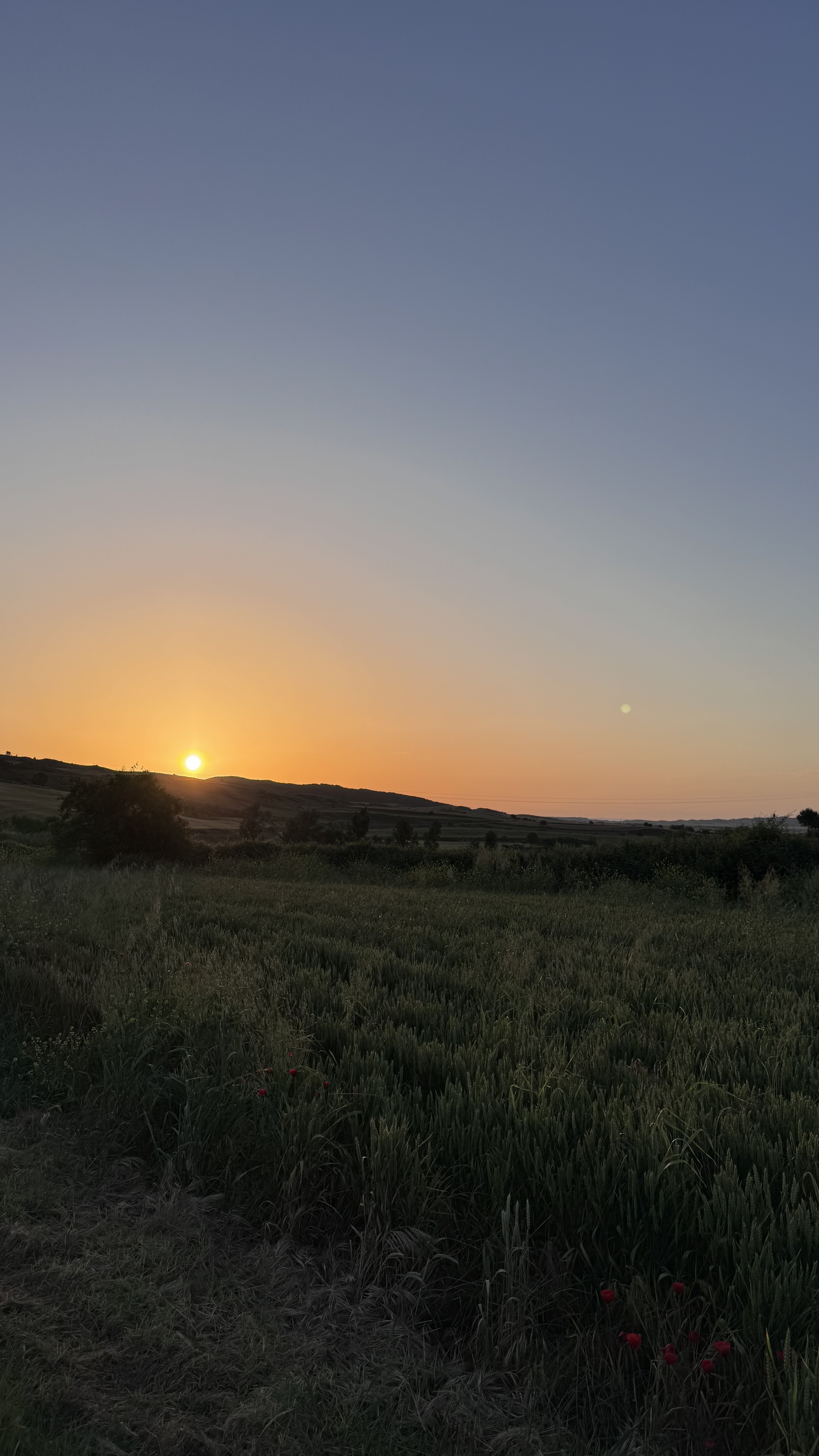 Dia 9 – Logroño a Nájera: Vinhedos Vermelhos e Pedreiras de Arenito