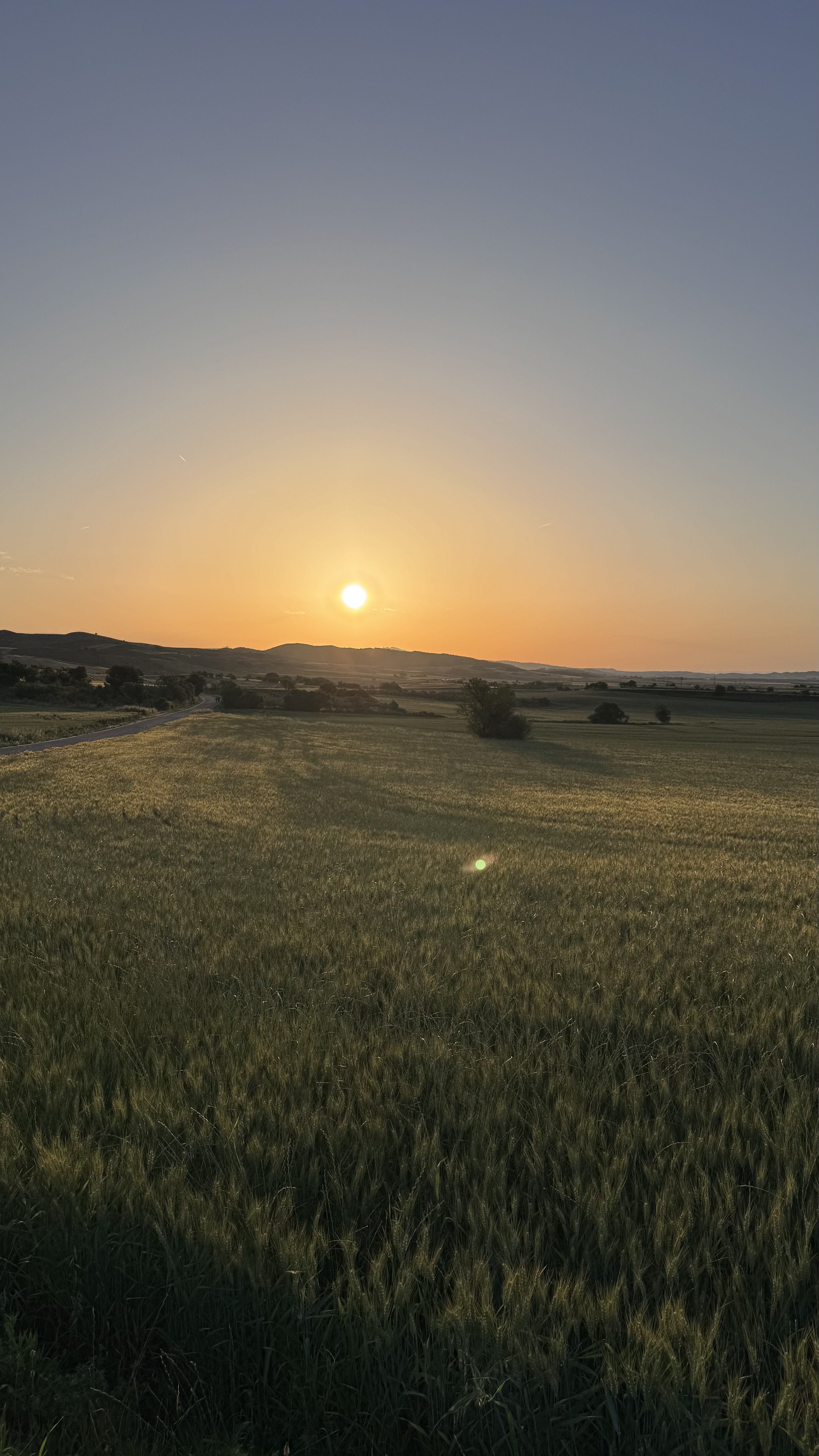 Caminho Francês — Dia 9
