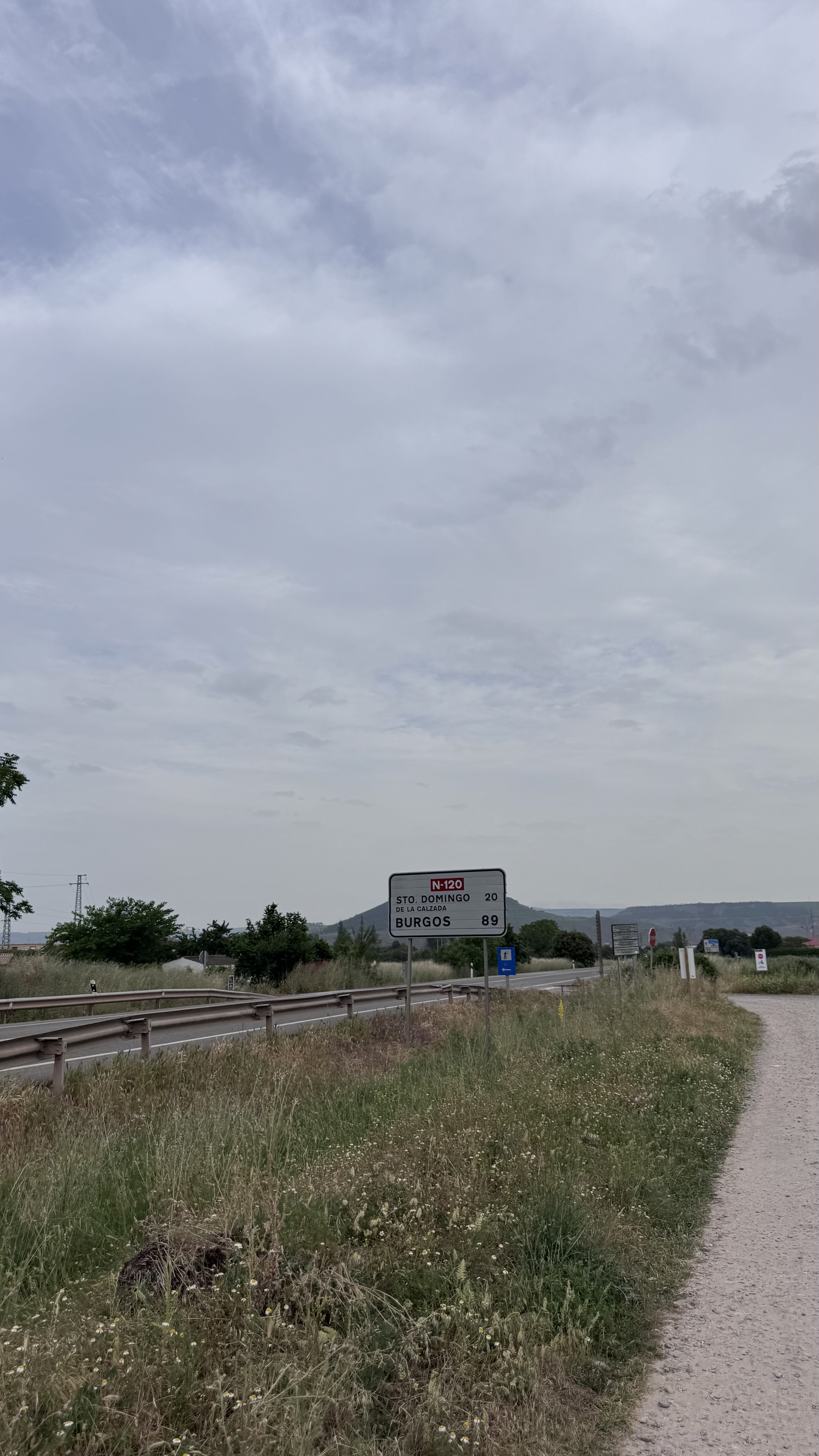 Caminho Francês — Dia 11