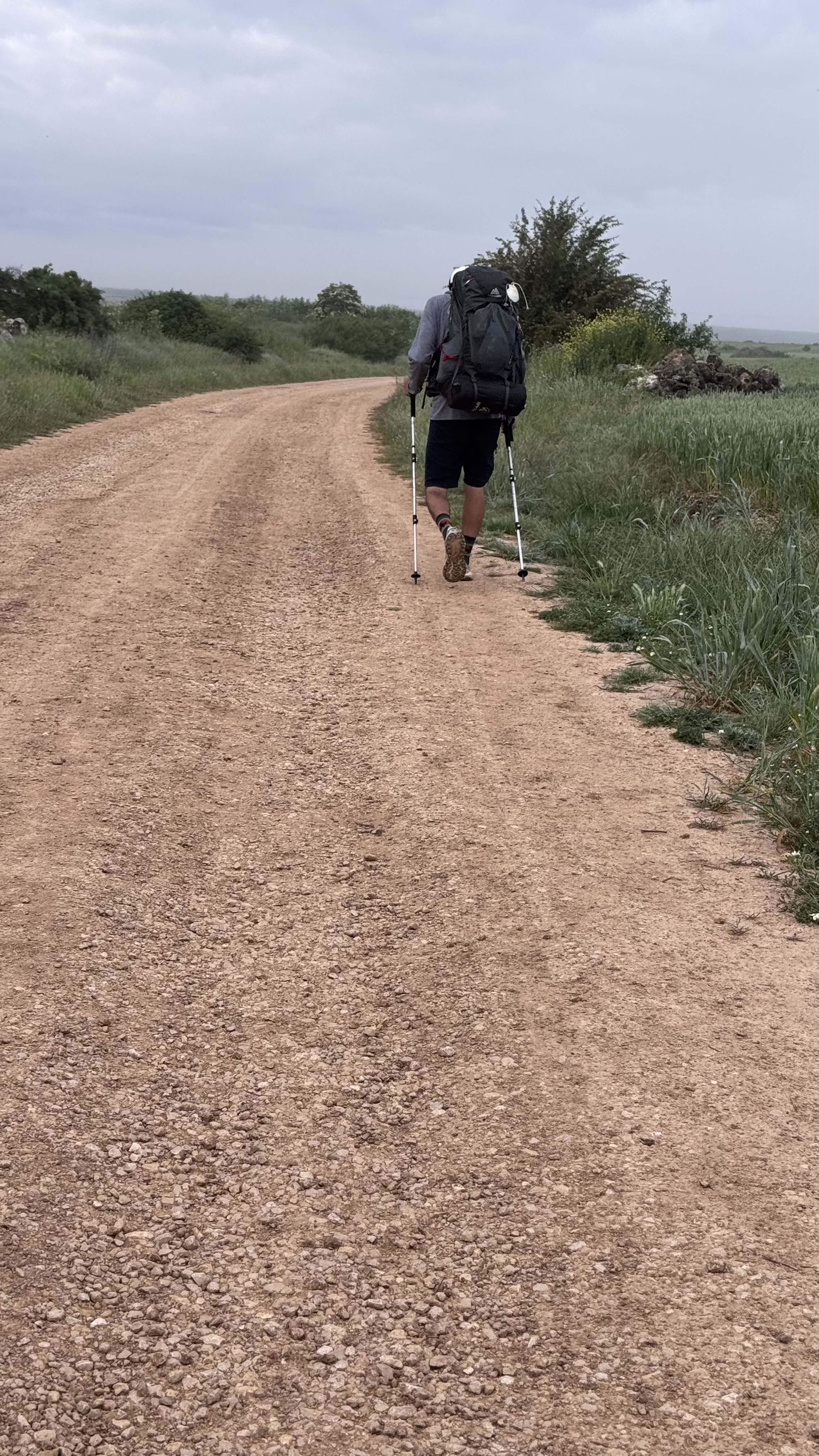 Caminho Francês — Dia 13
