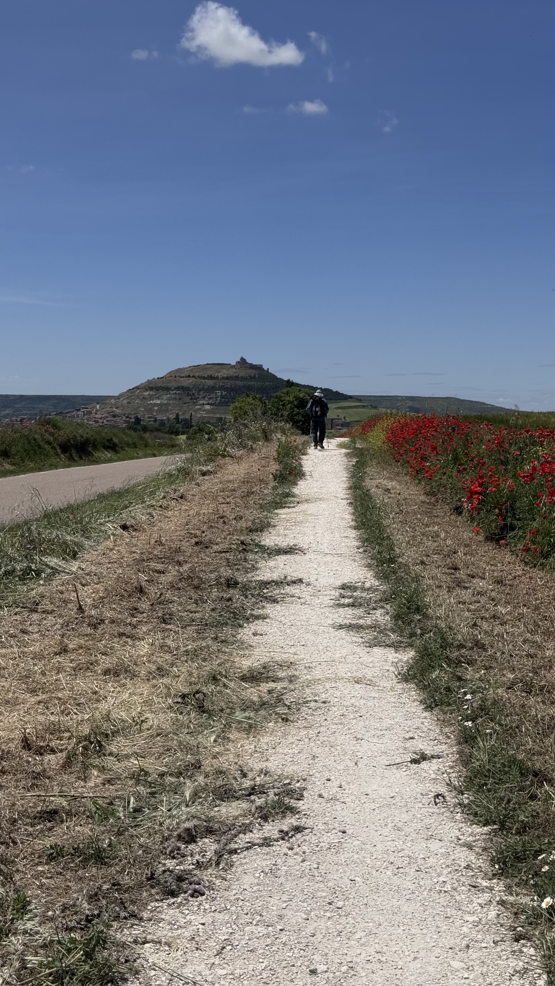 Caminho Francês — Dia 15