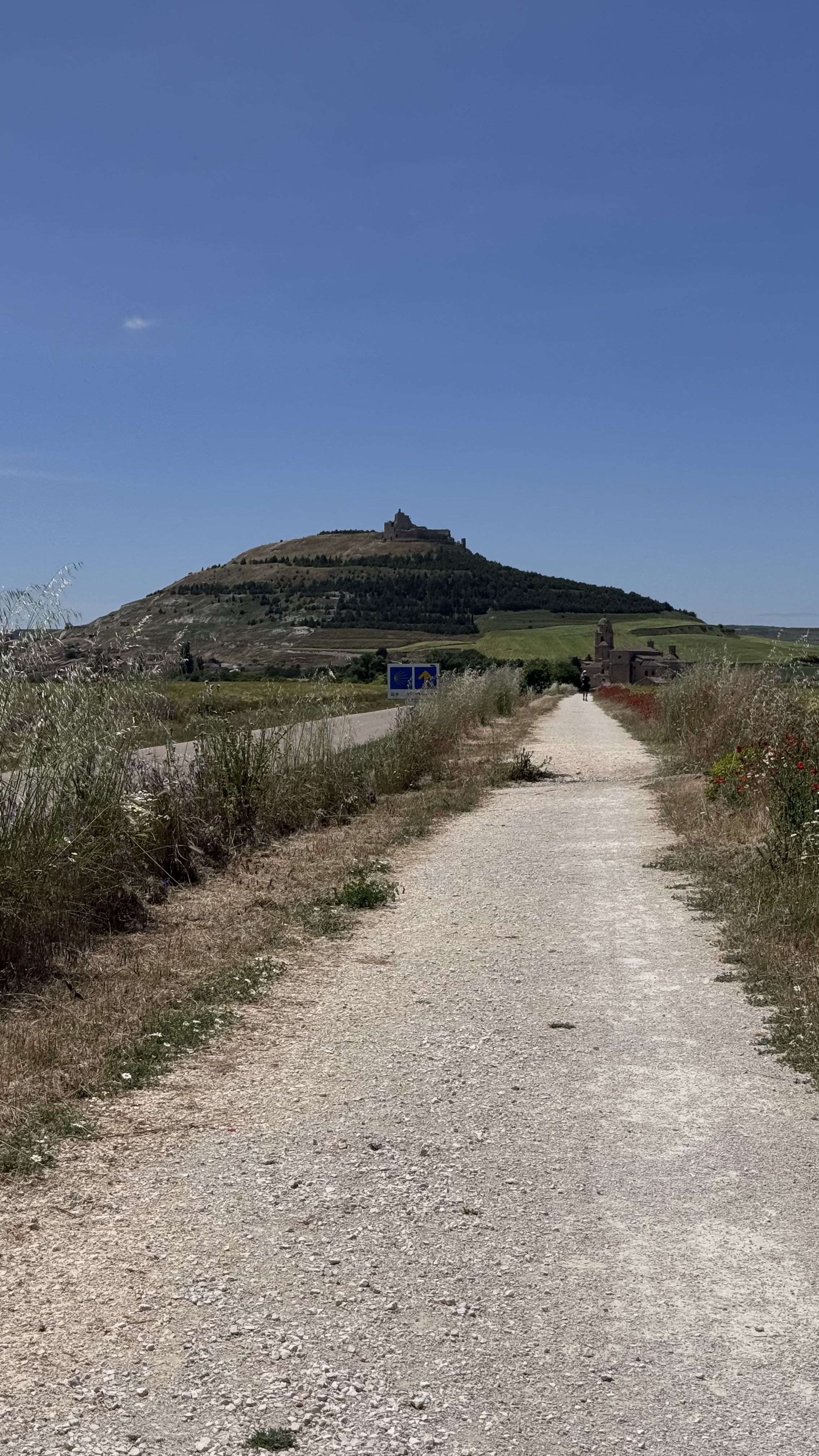 Caminho Francês — Dia 15