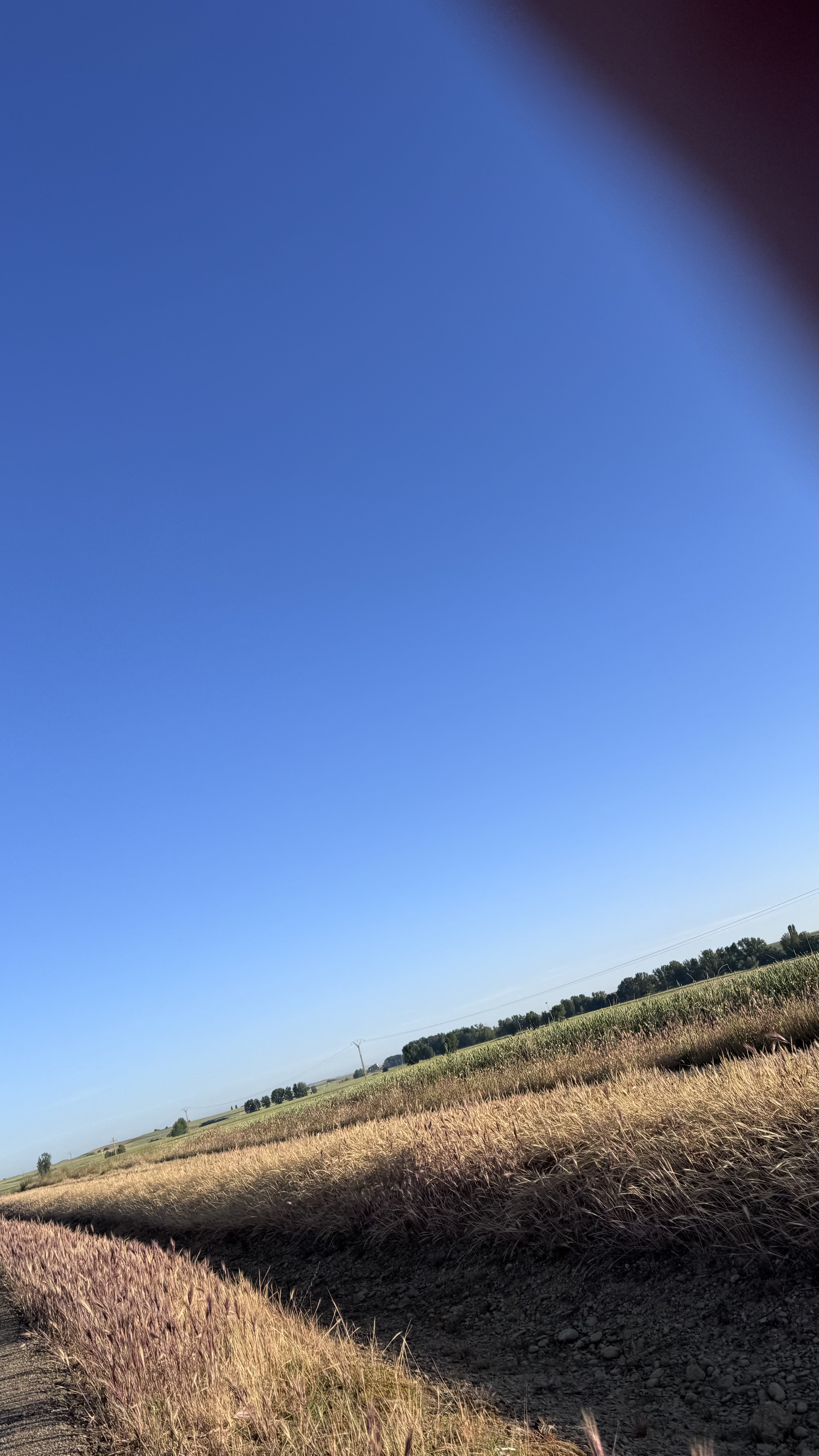 Caminho Francês — Dia 16