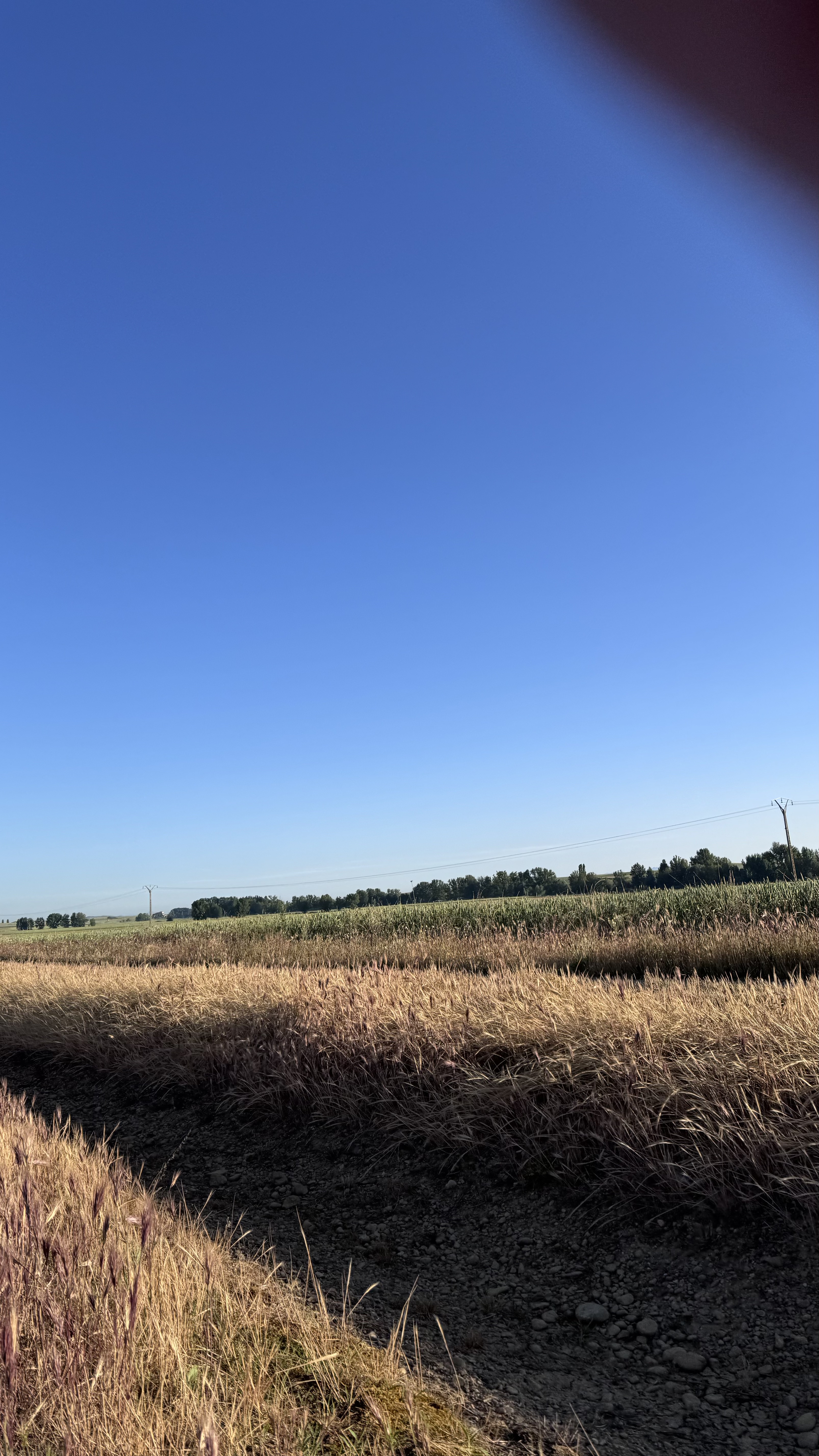 Caminho Francês — Dia 16