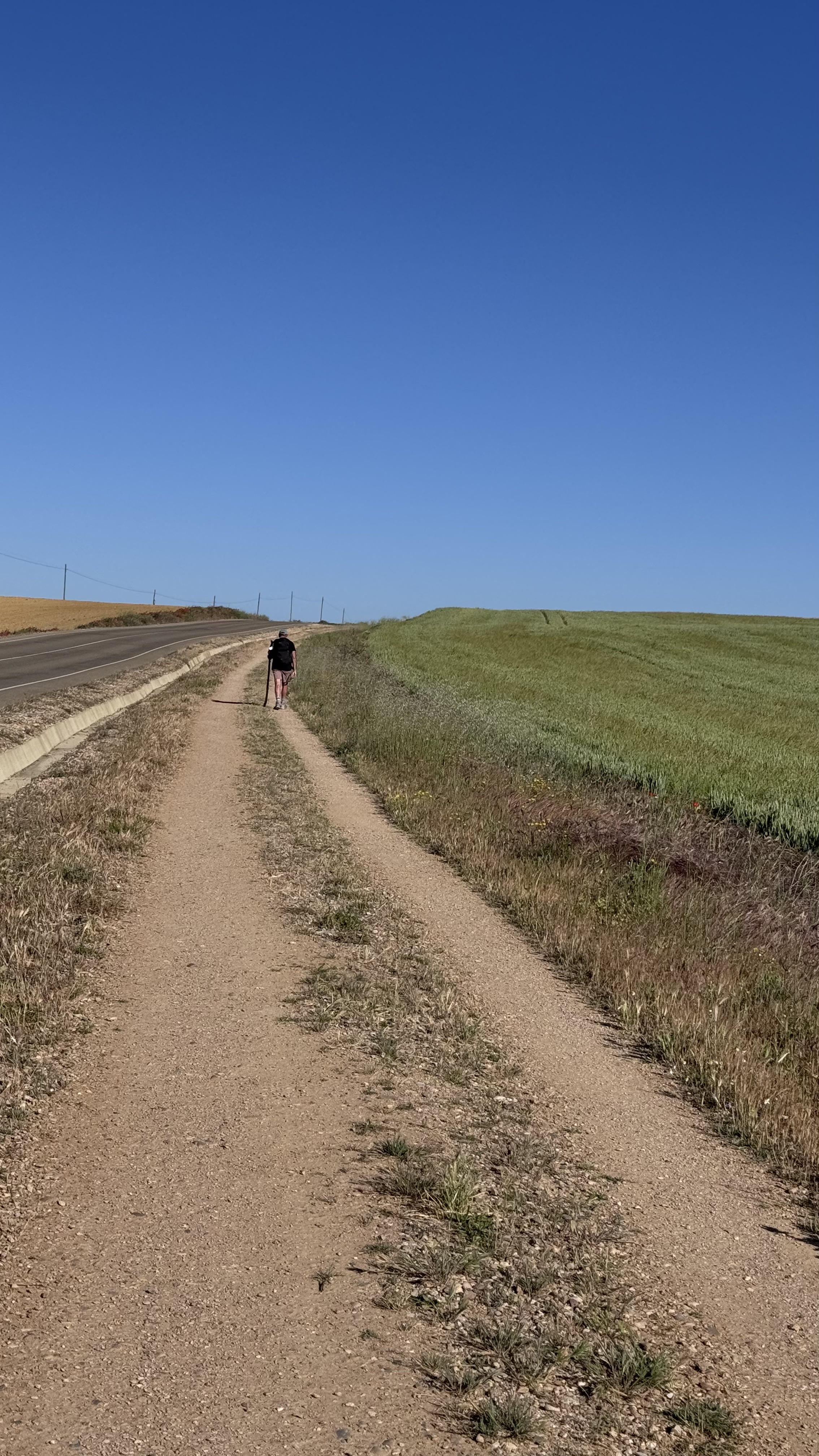 Caminho Francês — Dia 16
