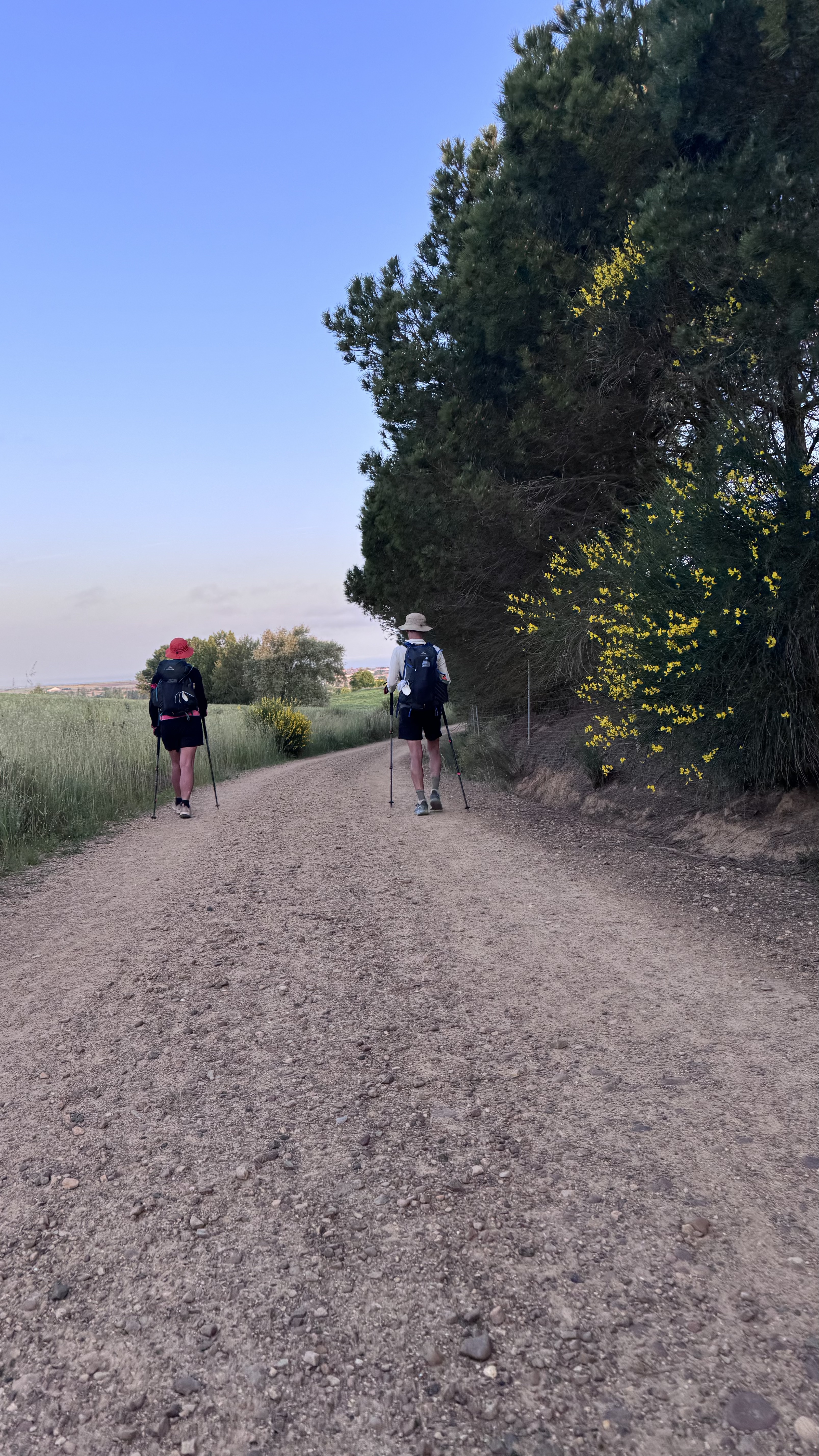 Caminho Francês — Dia 17