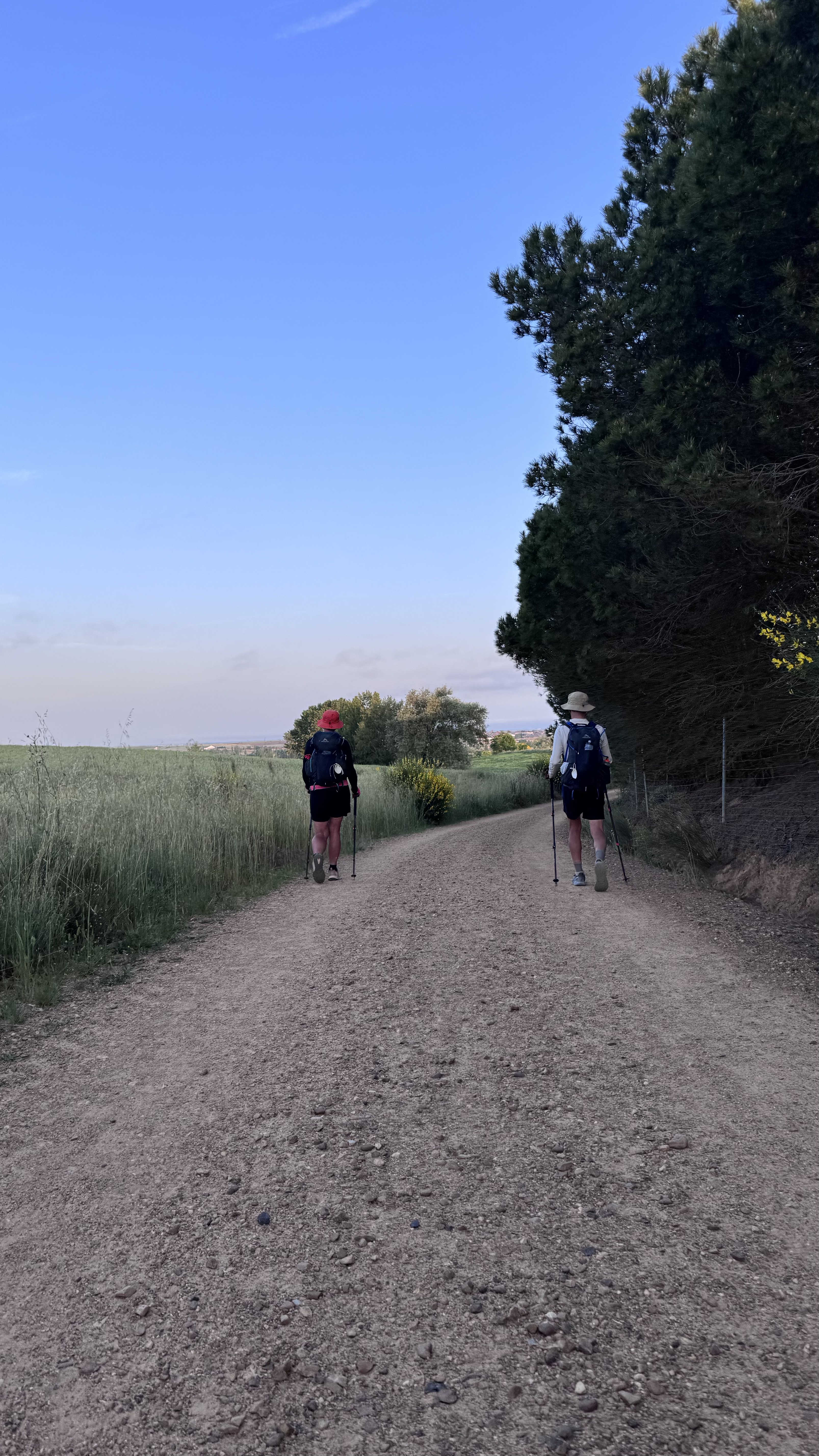 Caminho Francês — Dia 17