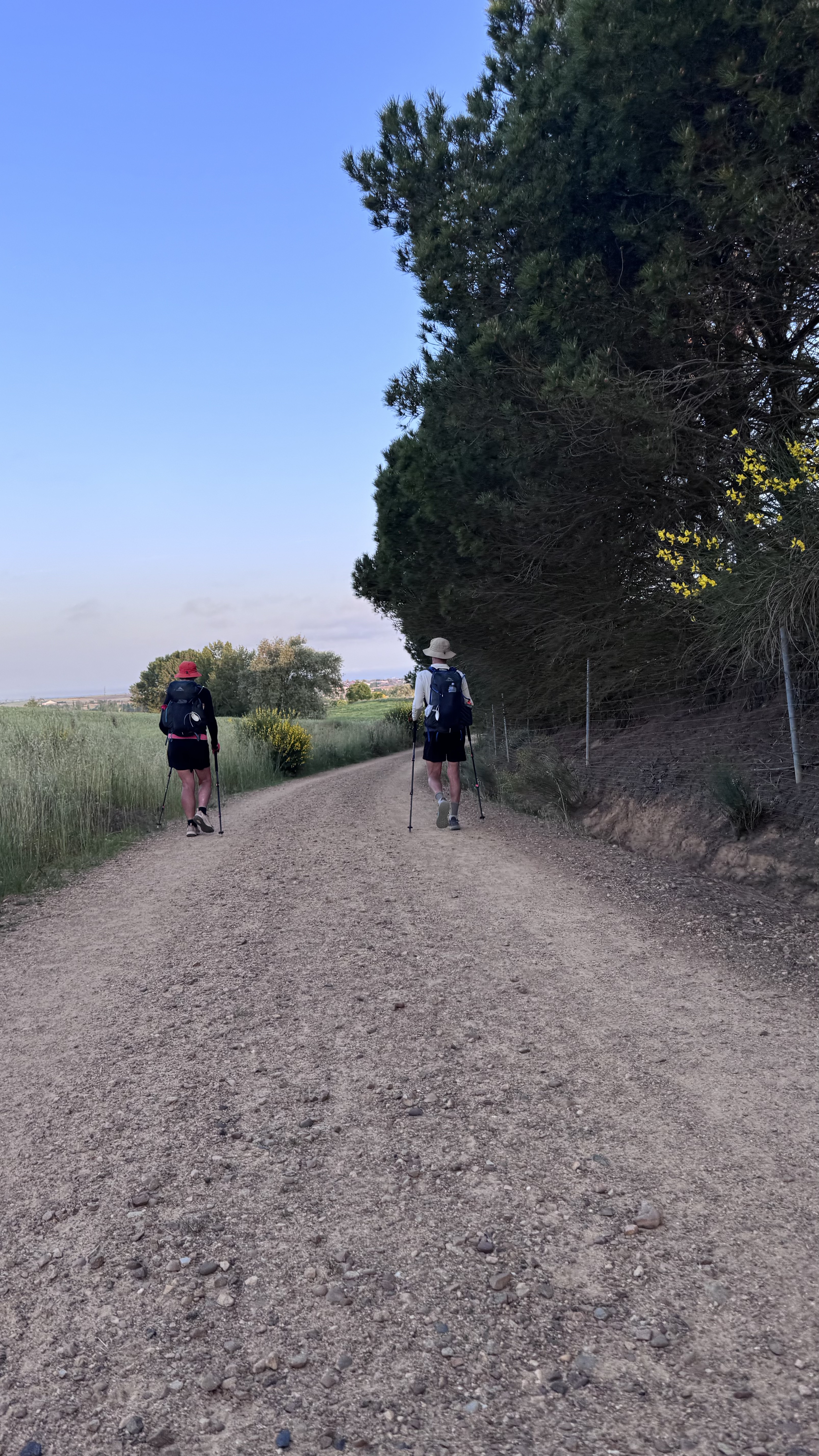 Caminho Francês — Dia 17