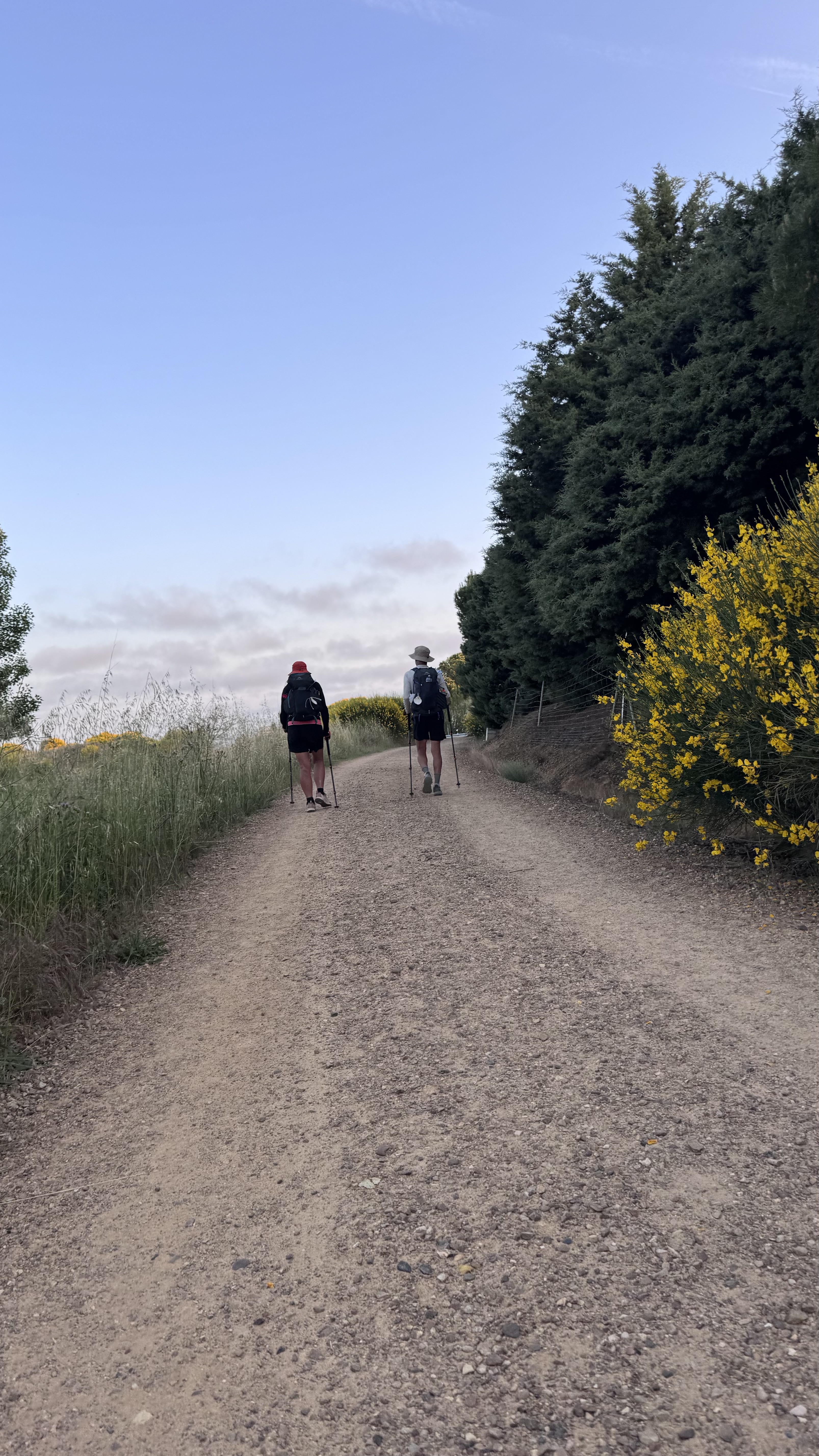 Caminho Francês — Dia 17