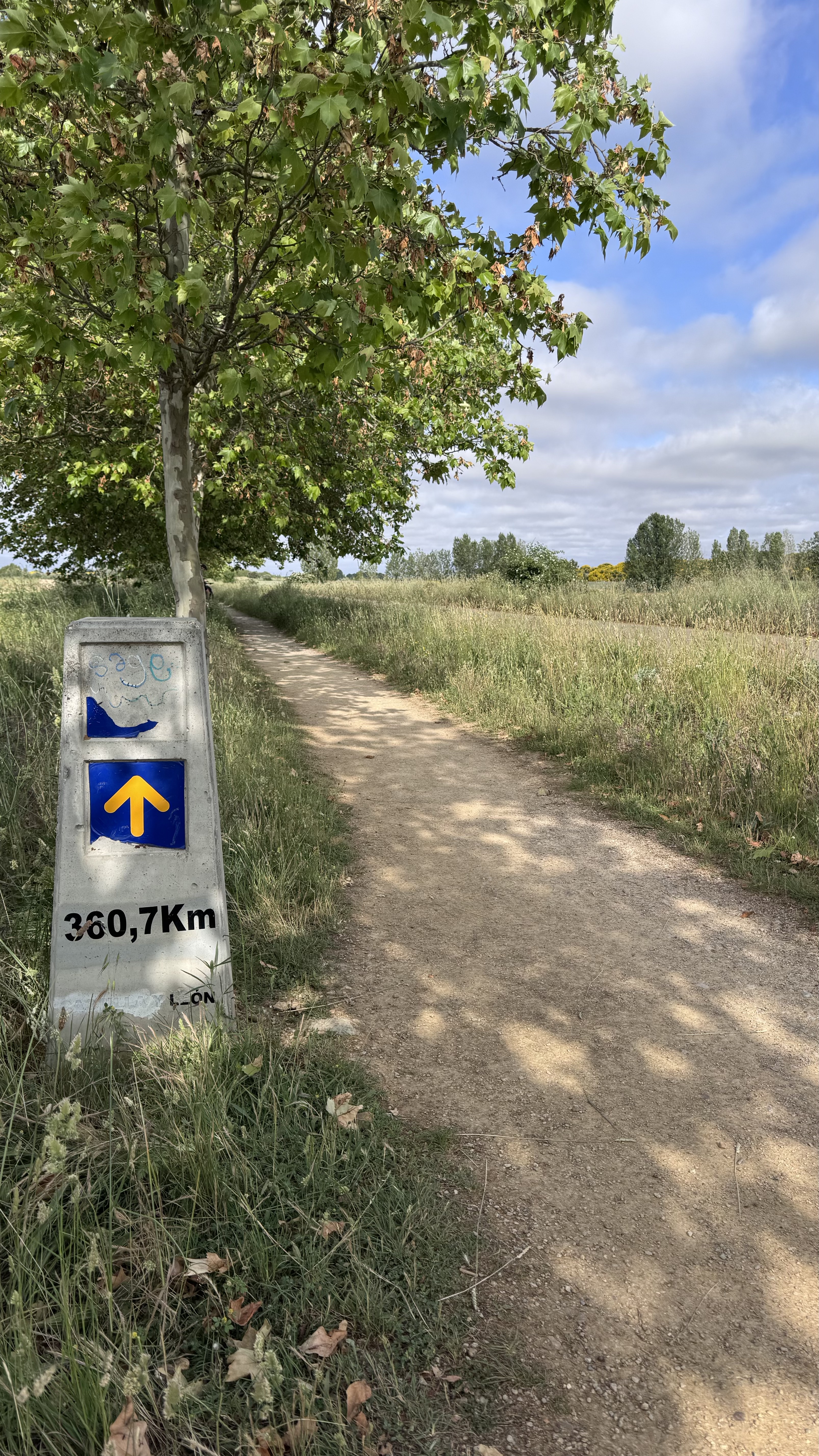 Caminho Francês — Dia 18