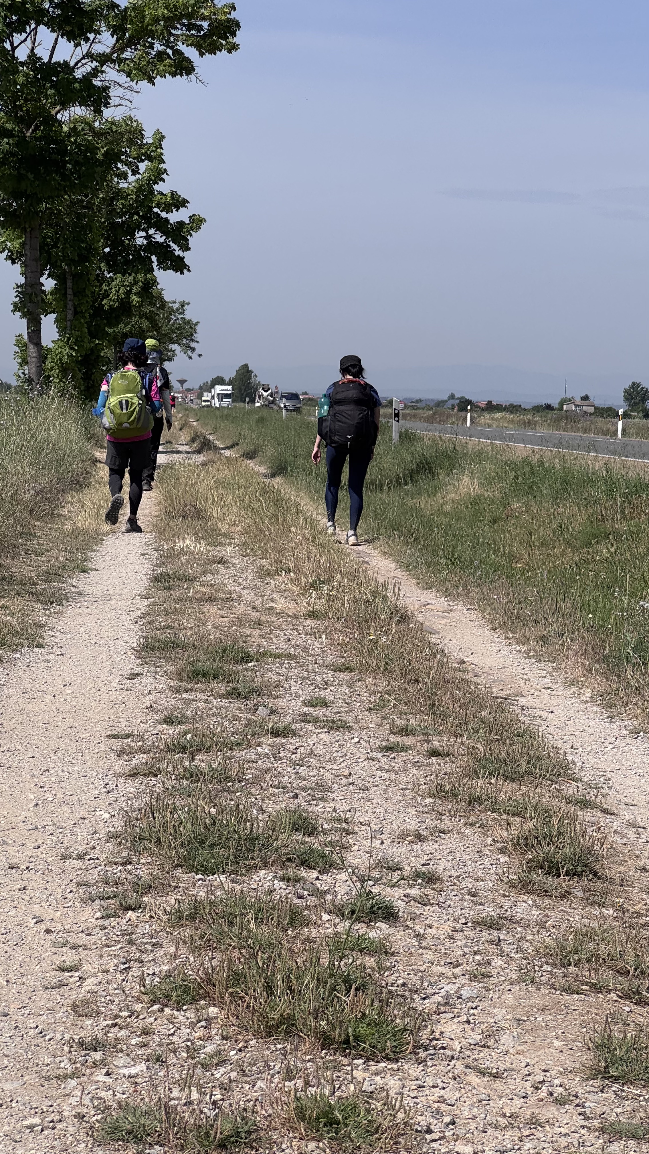 Caminho Francês — Dia 20