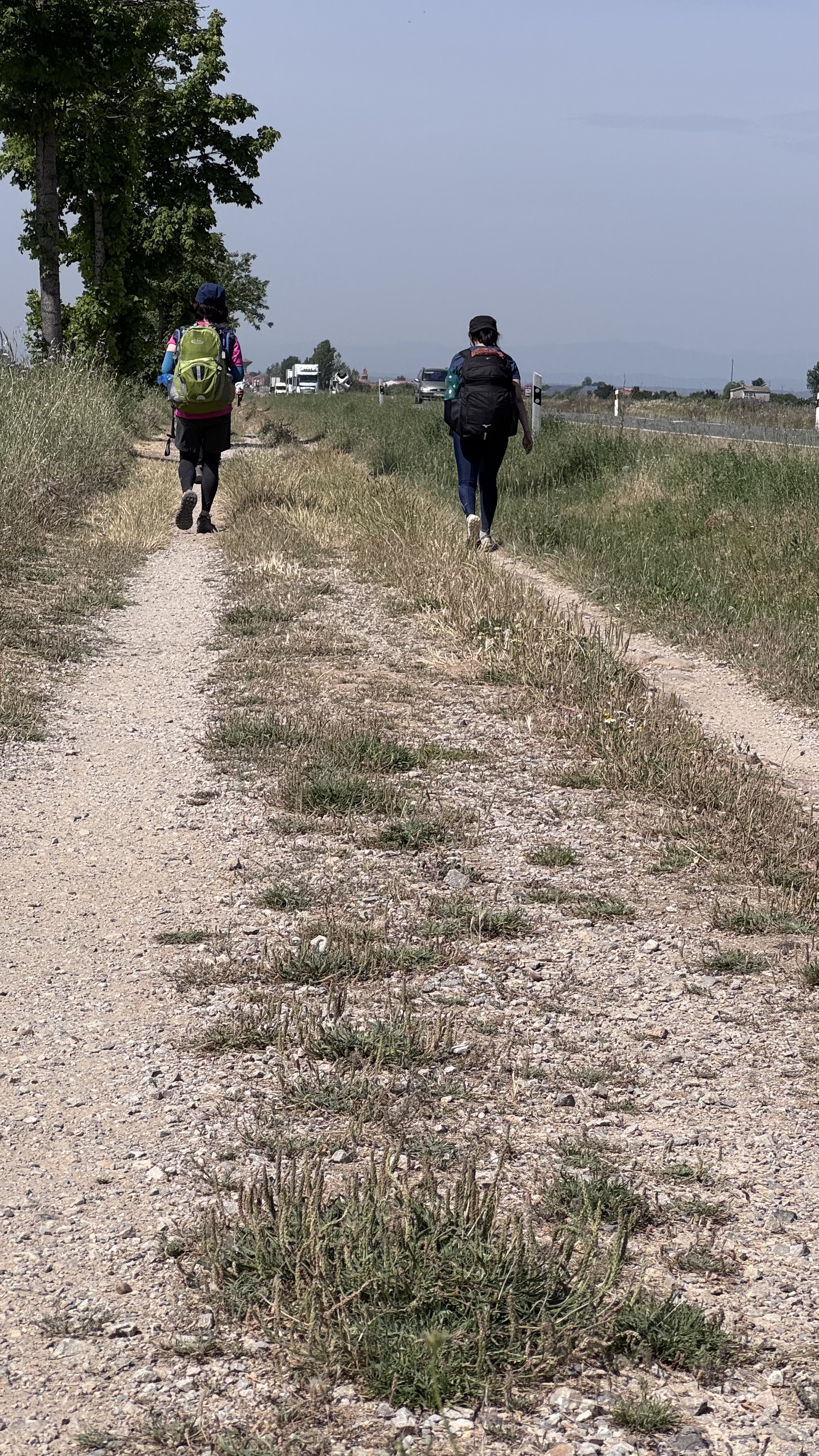 Caminho Francês — Dia 20