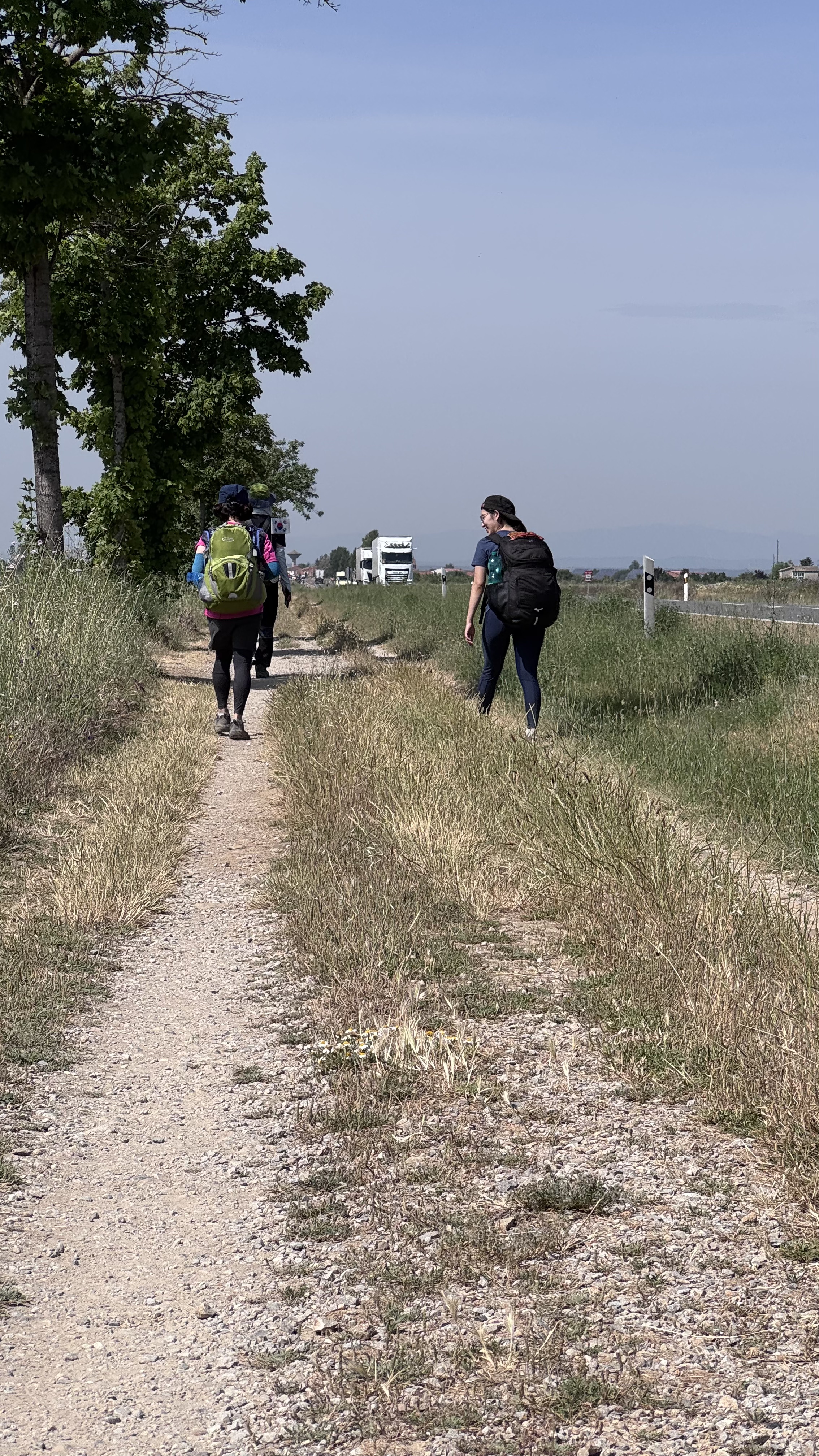 Caminho Francês — Dia 20