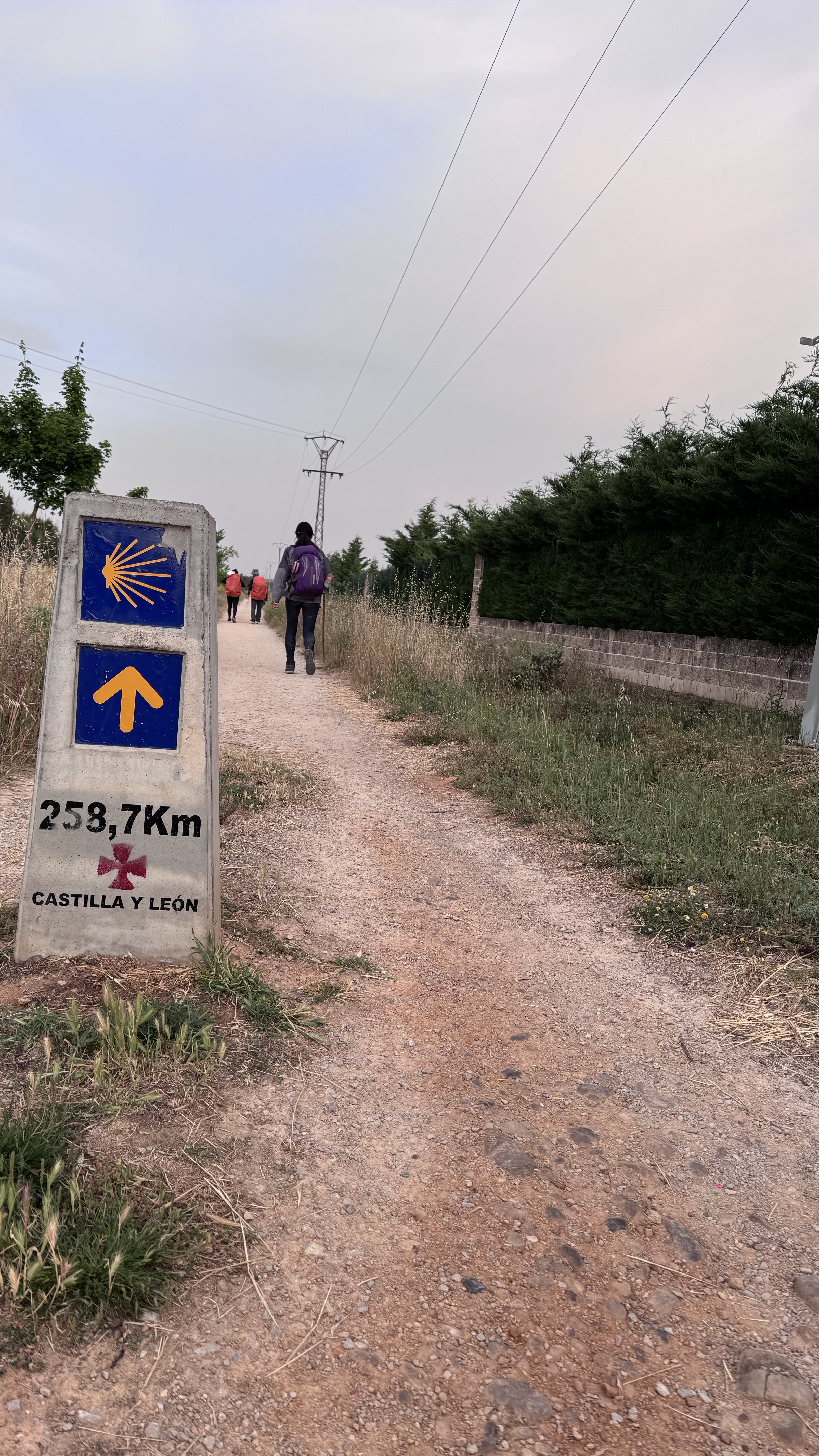 Caminho Francês — Dia 21