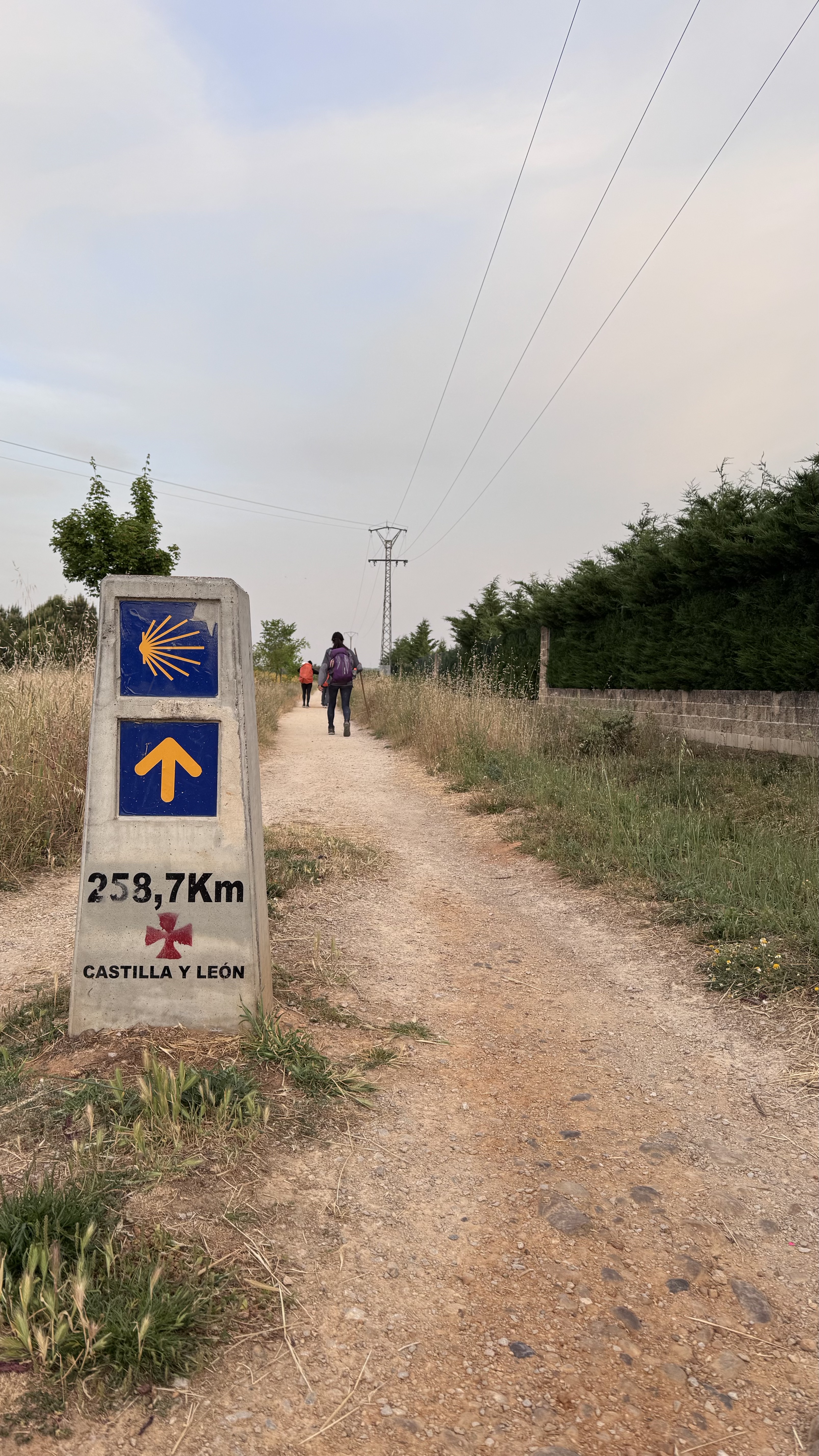 Caminho Francês — Dia 21