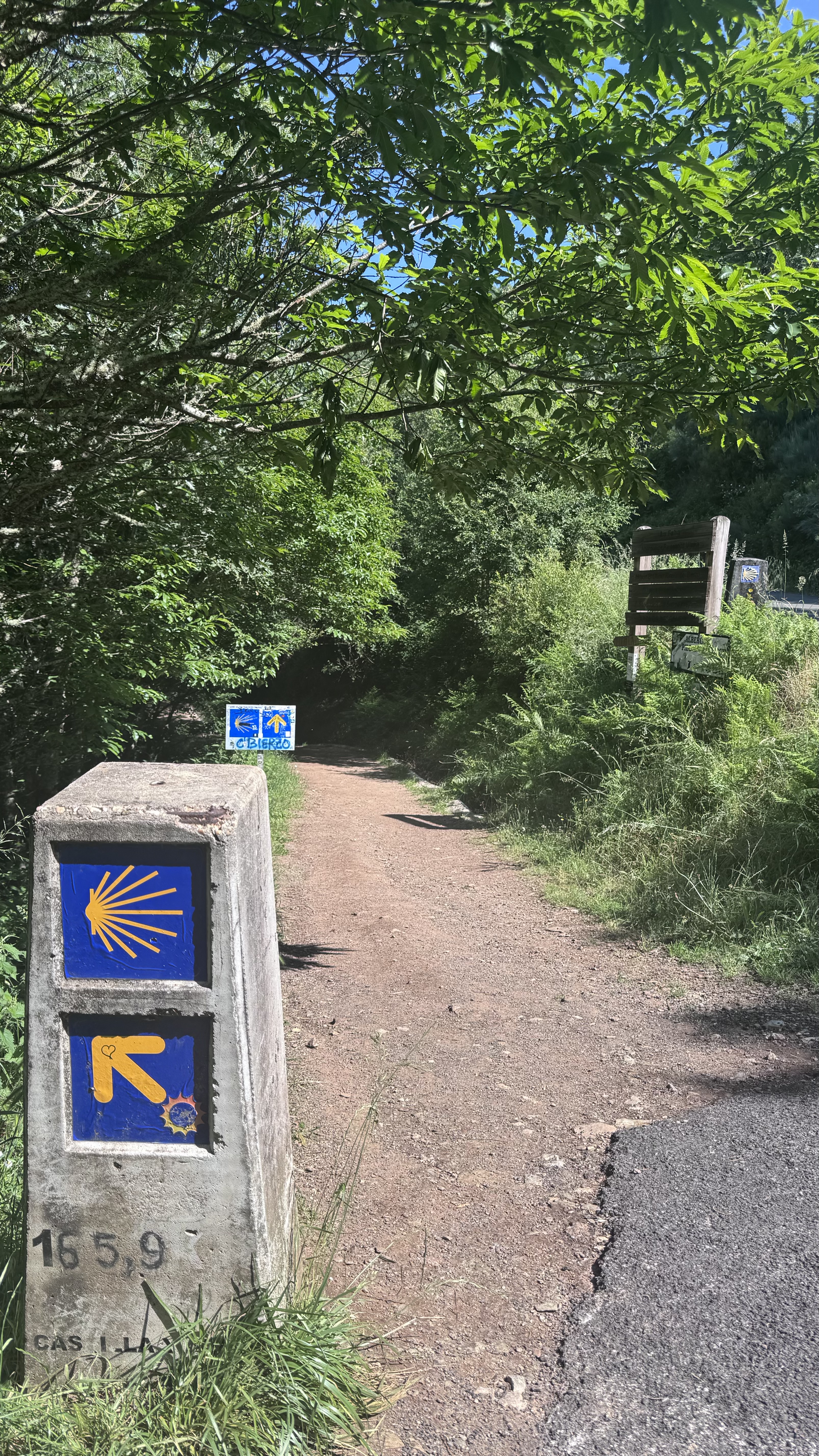Caminho Francês — Dia 24
