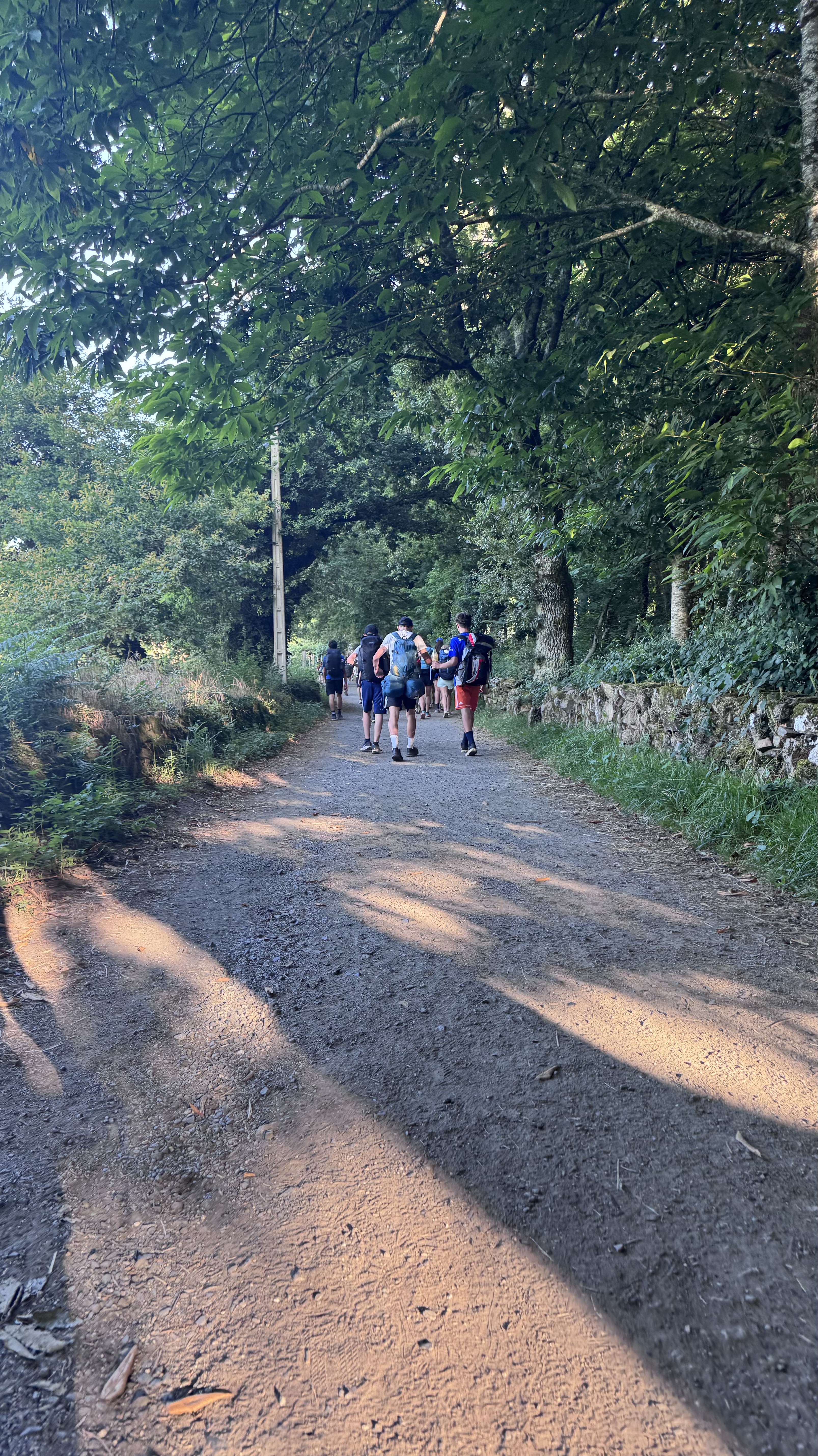 Caminho Francês — Dia 25