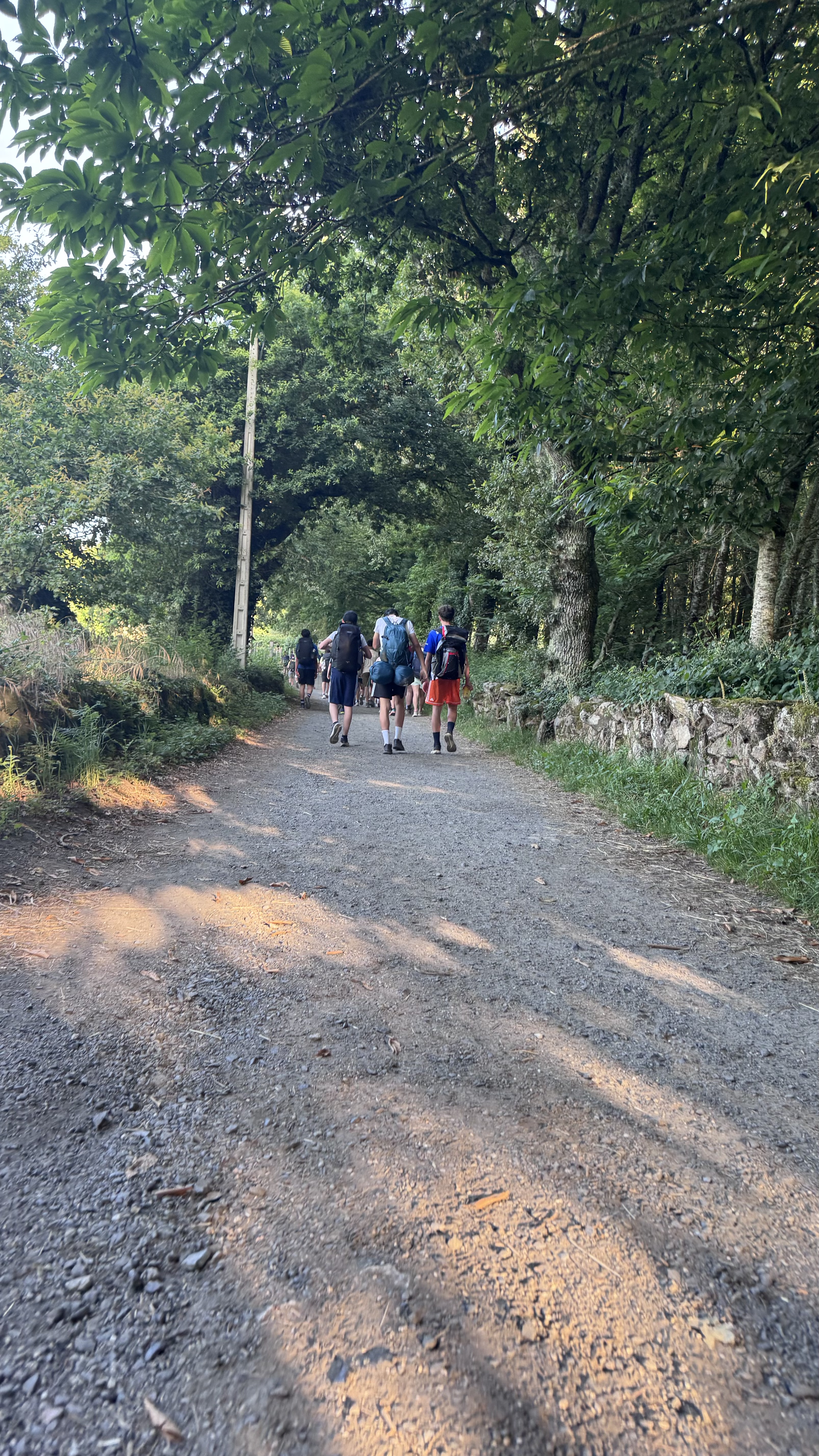 Caminho Francês — Dia 25